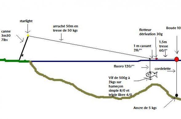 Underwater - shemabouee1.jpg